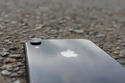 Casino Jungle Raja Application mobile